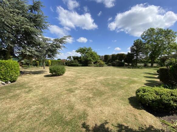 Garden 1.JPEG