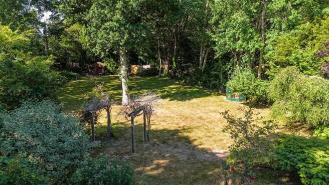 Silver Birches Drone-5.jpg