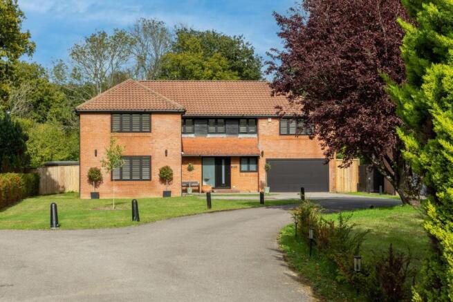 Blue sky front shot Silver Birches.jpg
