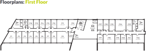 Floor/Site plan 2