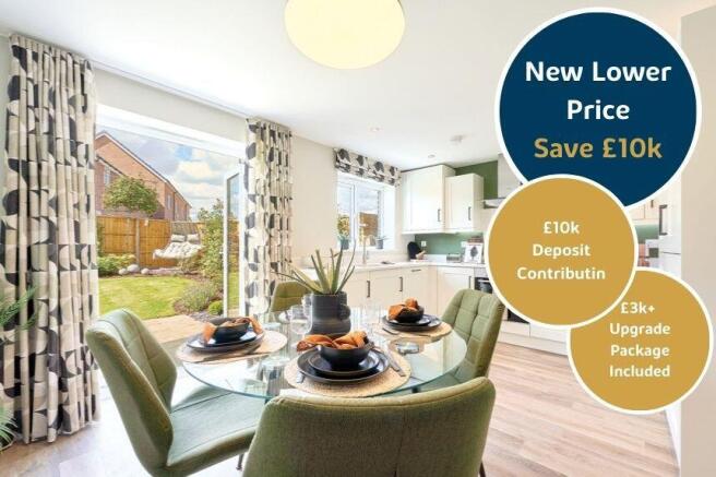 20 Magnolia Longfields (3)