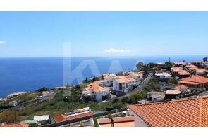 Photo of Madeira, Canico