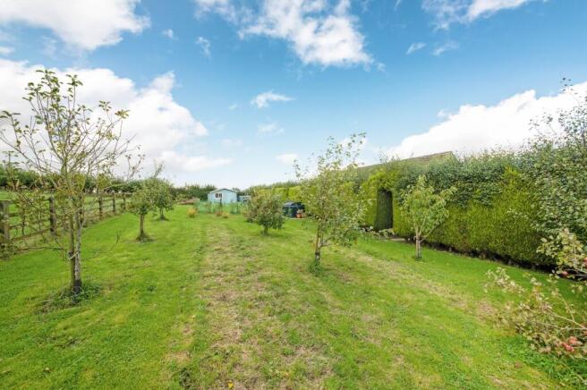 ORCHARD