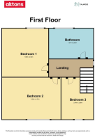 First Floor Logo and disclaimer (2).png