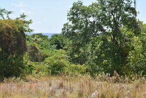 Photo of Vieux Fort