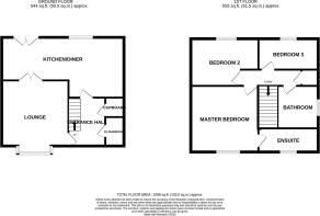 NEW ARPINS PIGHTLE .jpg