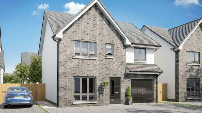 Elmwood CGI