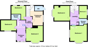 66 Peterborough Rd - all floors.PNG