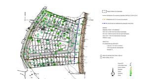 Floor/Site plan 1