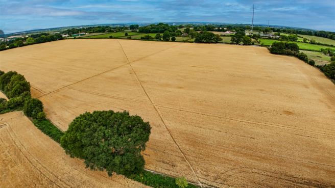 DJI_20250801102403_0309_D.png