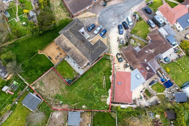 Birds Eye