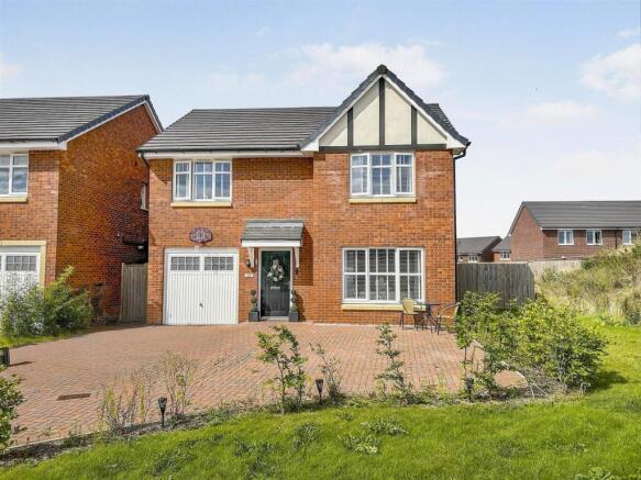 user_edited_photo-df7f3132_user-edited-c94988ed-ce