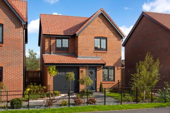 Showhome Photography