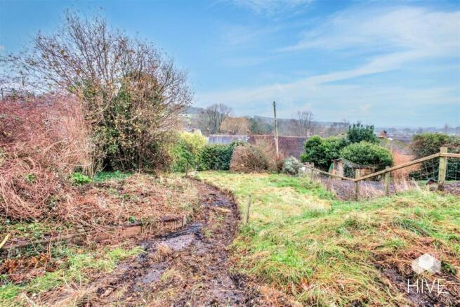Plenty of opportunity in the garden