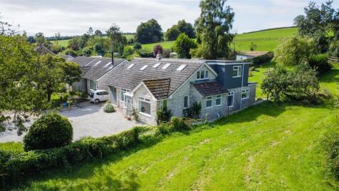 Alton Pancras, Dorchester