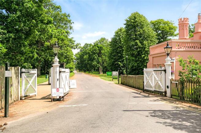 Windsor Great Park