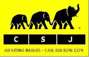 aWAITING IMAGES image.jpg