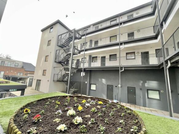 argyle communal.jpg