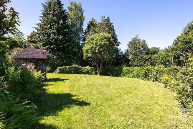 Back Garden