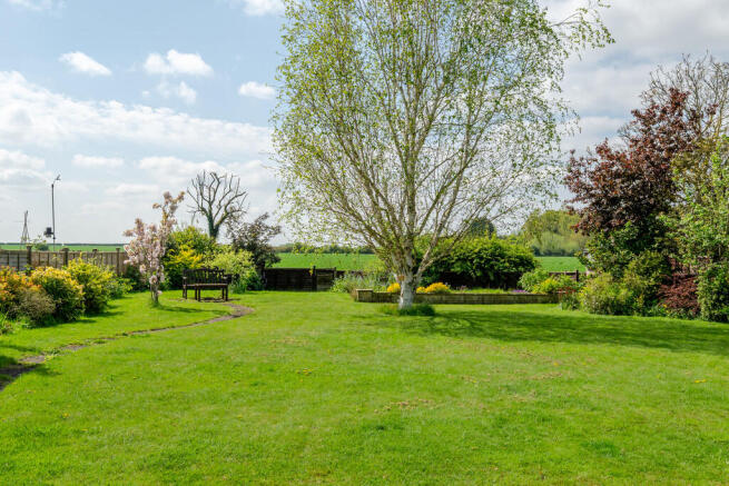Garden (backs ont...