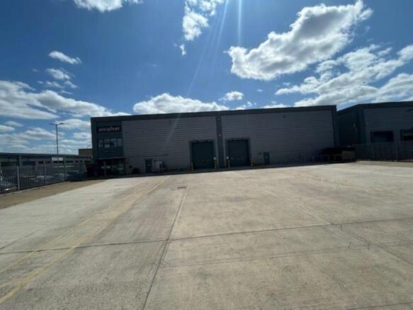 Yard 2.jpg