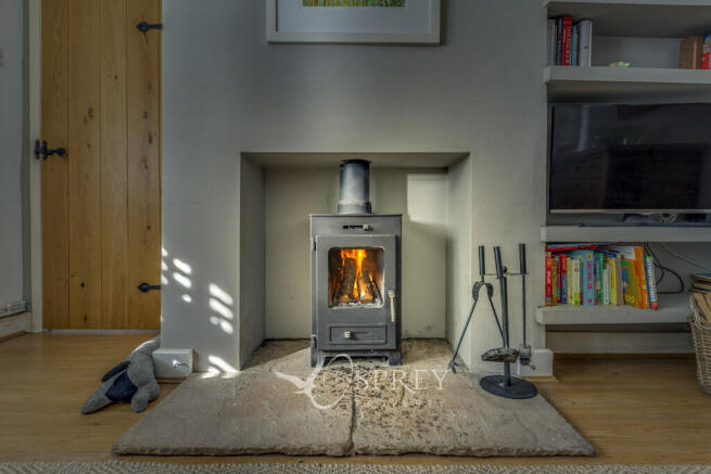 Multi-Fuel Stove