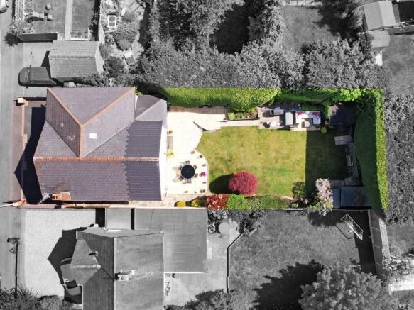 Birds eye