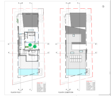 Floor/Site plan 1