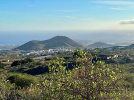 Photo of Canary Islands, Tenerife, San Miguel