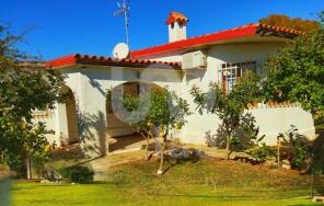 Photo of Valencia, Castelln de la Plana, Vinars