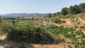 Photo of Catalonia, Tarragona, Banyeres del Peneds