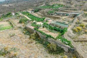 Photo of Canary Islands, Tenerife, Guia de Isora