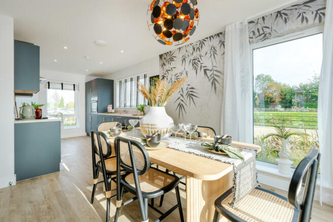 Showhome Photography