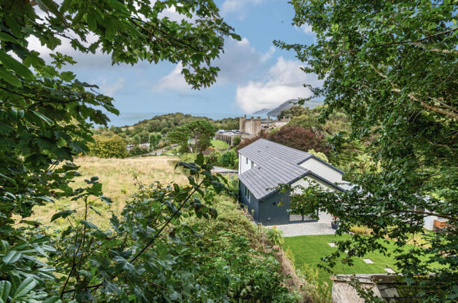 1345557-23-68b952...