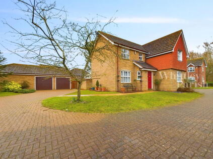 Fennel Way, Thetford, IP24 2UY