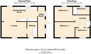 31 Aneurin (1)