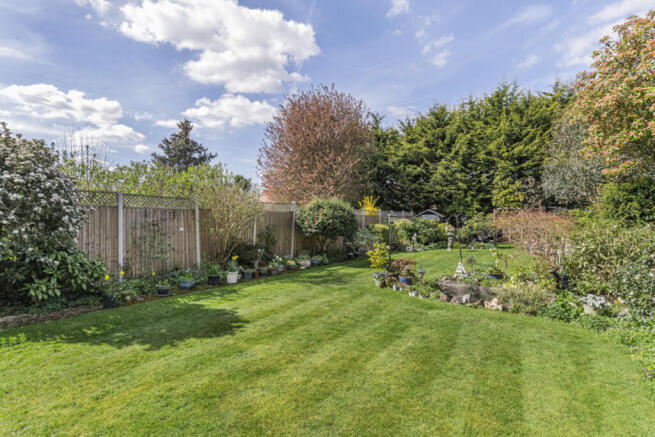 Garden (2)