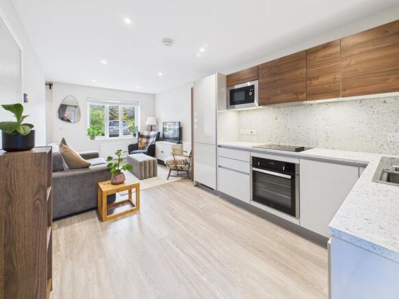 open plan lounge & kitchen