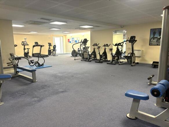 GYMNASIUM