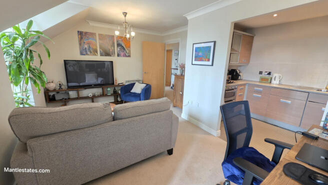 LOUNGE - DINING AREA