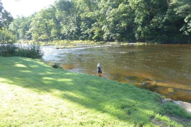 Nyth Fishing Cafn Pool