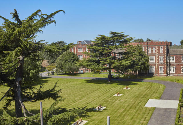 Garden Views