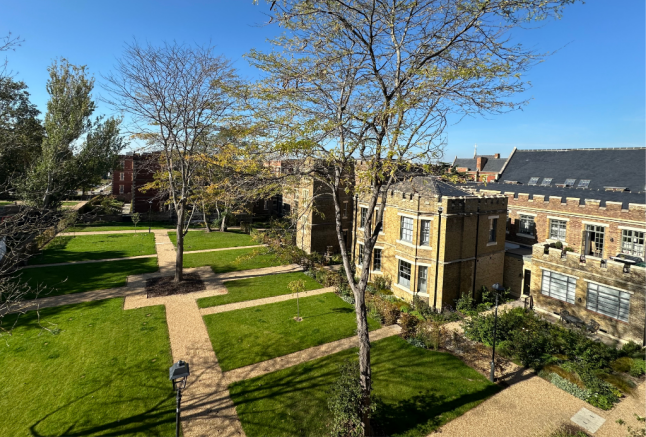 Views from Apartment