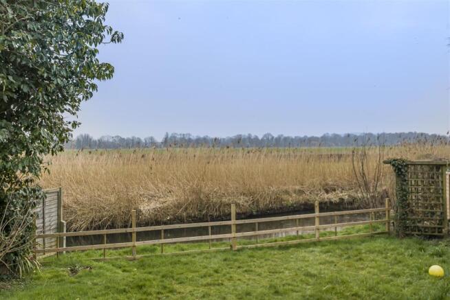 Field Views
