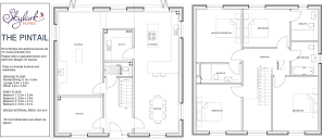 The Pintail Plans