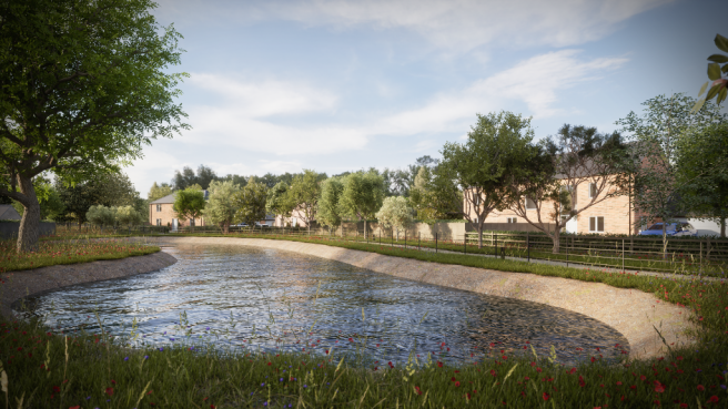 Pond View