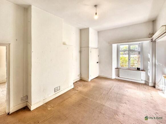 IMG 7991 T202509011632.jpg