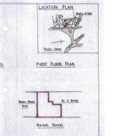 Floor/Site plan 1