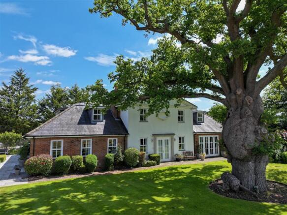Garden : Tree.jpg