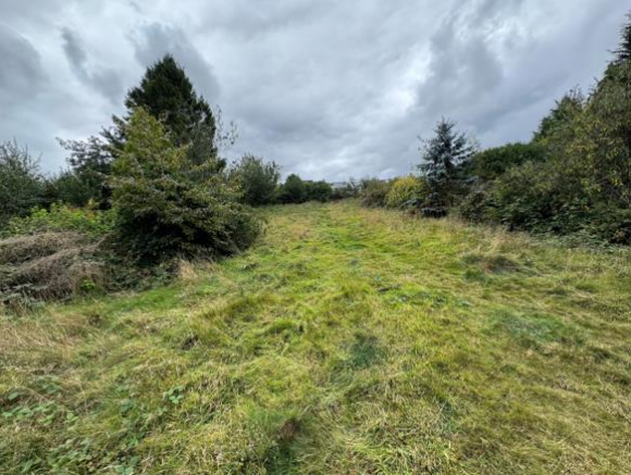 Screenshot 2025-09-17 110135.png